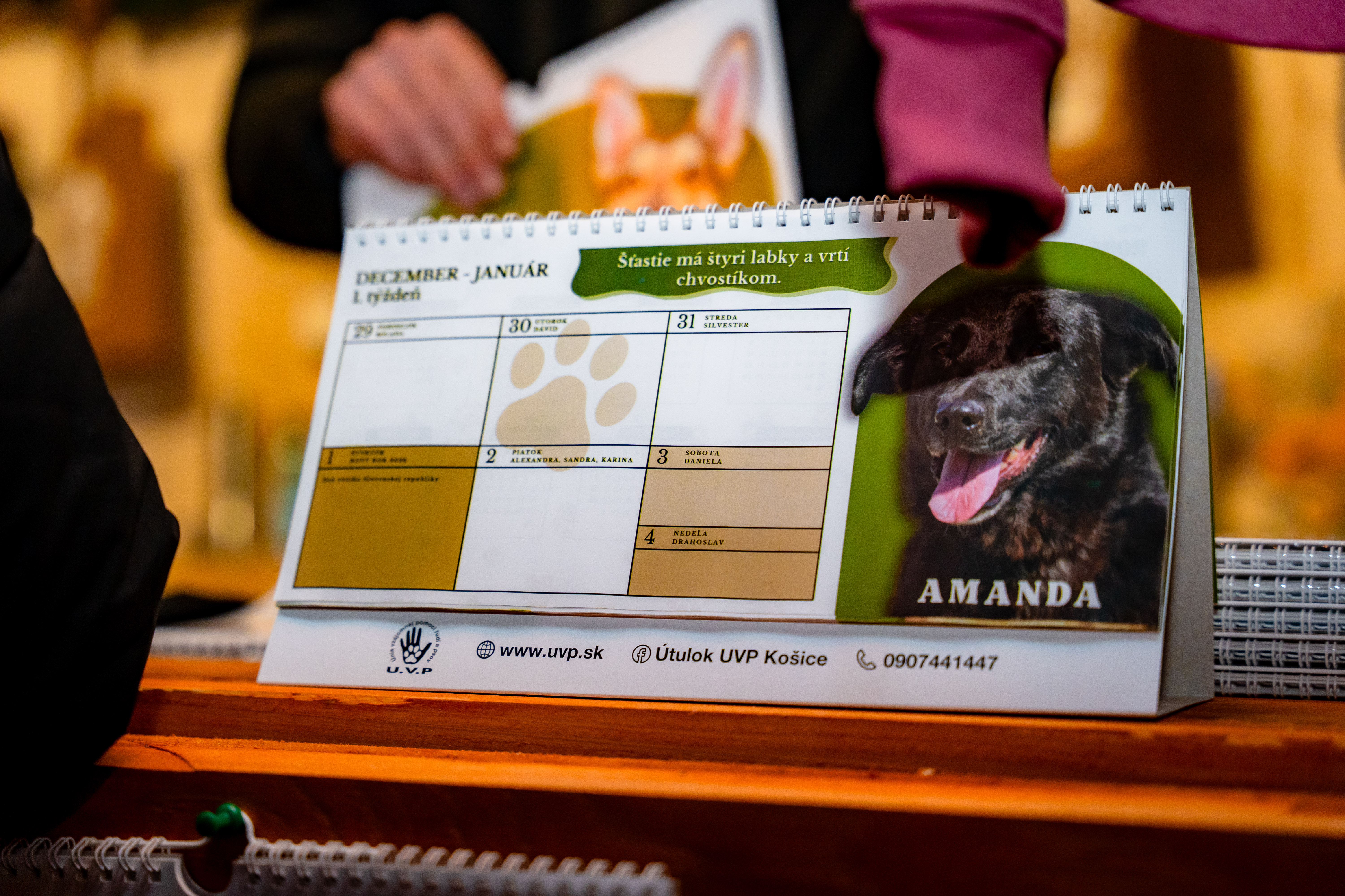 Slavnostne otvorenie Kosickych rozpravkovych Vianoc 2025 a primatorsky punc-121